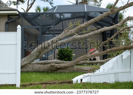 Fallen down big tree caused damage of yard picket fence after hurricane in Florida. Consequences of natural disaster