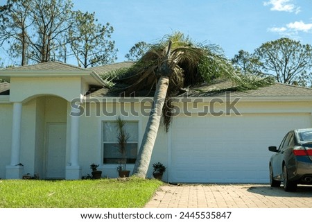 Fallen down big tree on a house roof after hurricane in Florida. Consequences of natural disaster