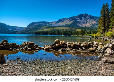 Fallen Leaf Lake In The Fall 