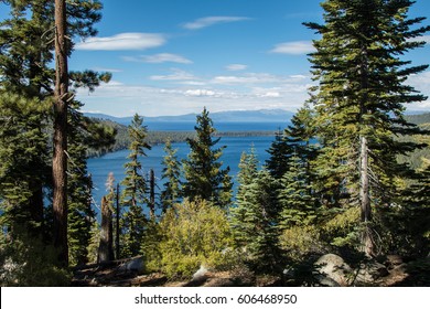 Fallen Leaf Lake Vista Through Trees