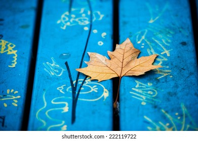 Fallen Leaf On A Graffitti Covered Bench.