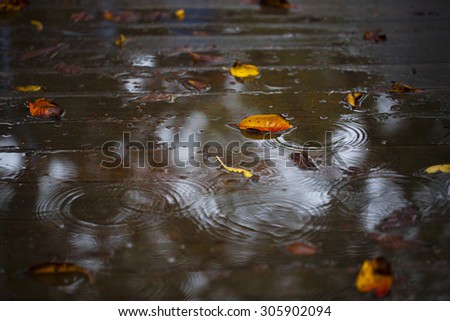 Similar – Image, Stock Photo bonnet decoration