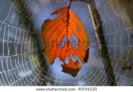 Similar – Image, Stock Photo morning walk Human being