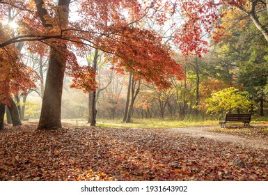 秋の景色 の画像 写真素材 ベクター画像 Shutterstock