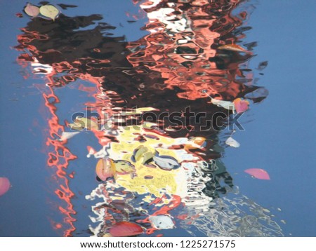 Image, Stock Photo Mirroring in red Garden