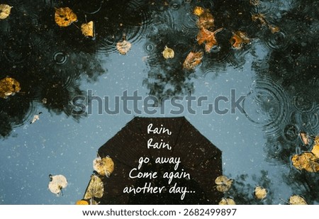 fallen leaves and reflection umbrella in puddle, wet asphalt abstract background. 
