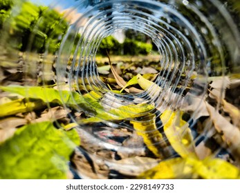 The fallen leaves revive in the fall.  A view through a transparent tunnel from a plastic bottle.  different perspective