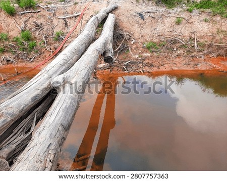 Fallen logs are positioned across a shallow stream, creating a makeshift bridge in a sandy, rural area. 