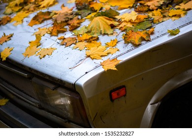 Fallen Maple Leaves On Old Beaten Car Bonnet - Close Up Autumn Background With Selective Focus