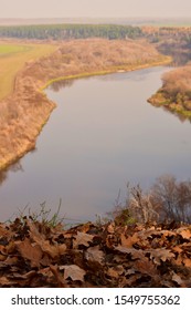 Fallen Oak Leaves On The Ground Against The River. Curveball. Voronezh Region. Russia