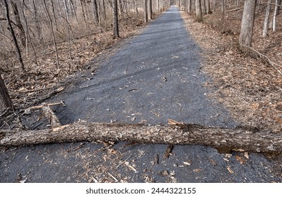 fallen tree across gravel bike path (pedestrial walking path in upstate new york) blocking, obstruction, damage (dead, rotten tree fell on hiking trail)