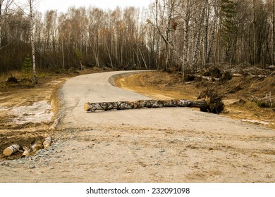 Fallen Tree Across The Road