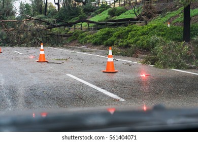 Fallen Tree Blocking Road With Cones And Flares