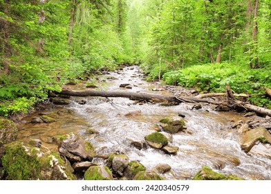 A fallen tree blocks the rocky bed of a small turbulent river flowing through the summer morning forest. Tevenek River (Third River), Altai, Siberia, Russia. - Powered by Shutterstock