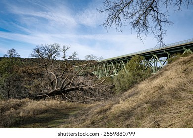 A fallen tree blocks a trail after an intense rainstorm near Foresthill Bridge, the tallest bridge in California.
