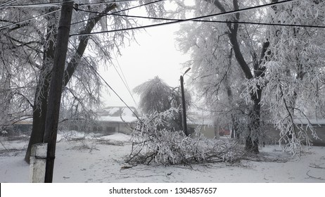 Fallen Tree Branches On A Power Line In A Snowy Winter. Dangling Wires From Torn Branches.