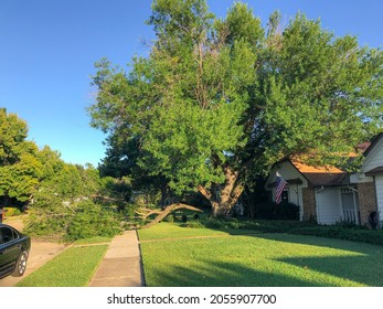 Fallen Tree With Broken Branches On The Sidewalk In Front Of Residential House In Suburbs Dallas, Texas, America. Row Of Car Parked On The Neighborhood Street. Wind Damaged, Insurance Claim