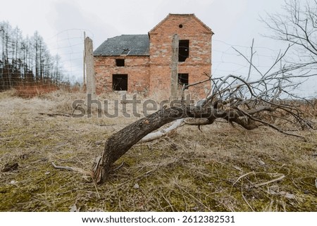 Fallen tree in front of an abandoned red brick house – eerie atmosphere, urban decay, and nature reclaiming forgotten places