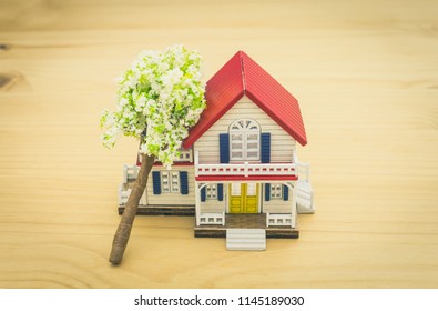 Fallen Tree Home Insurance Concept. Falling Trees On Home Or House For Insurance Concept Or Disaster Category. Home Insurance Concept In 
Business Category.