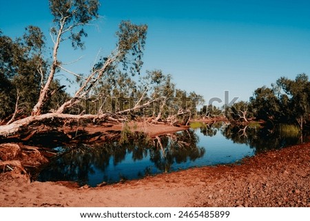 Fallen Tree Resting Atop River Lake Red Dirt Waterhole Outback Australia