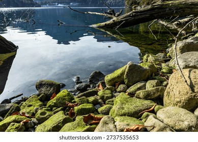 Fallen tree trunk and clear turquoise water in a shallow mountain lake, highlighting nature's textures, pebbles, and serene wilderness environment