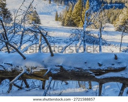 A fallen tree trunk covered in thick white snow in the foreground, overlooking a snowy mountain valley with pine forests under soft daylight at Le Suchet, Switzerland.