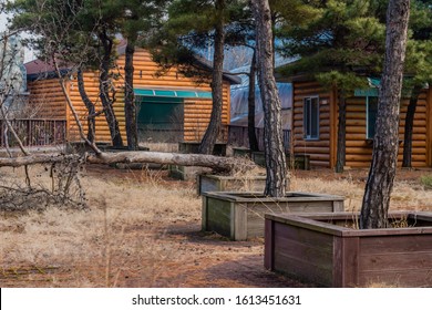 Fallen Tree In Wooden Box Planter In Front Of Log Buildings In Public Park.