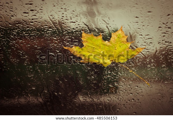 Fallen yellow leaf and rain\
drops on a car windshield with city road in the background. Toned\
effect