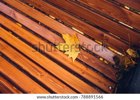 A fallen yellow maple leaf on a wooden bench in the park. Autumn season.
