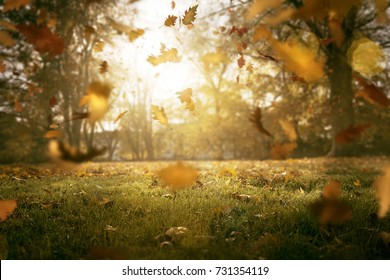 Falling Autumn Leaves