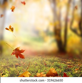 Image result for images of falling leaves