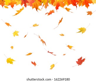 205,350 Leaves falling Images, Stock Photos & Vectors | Shutterstock