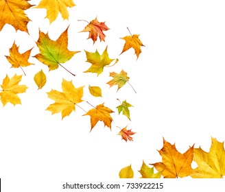 584 Tree on whitebackground Images, Stock Photos & Vectors | Shutterstock