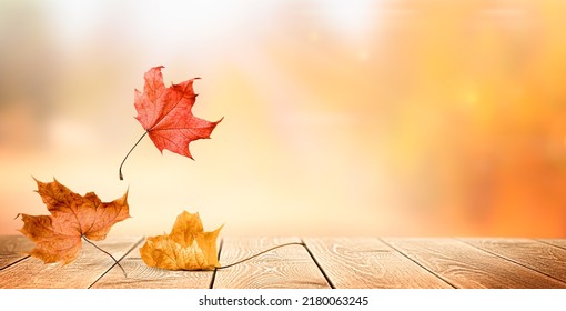 33,755 Falling table Images, Stock Photos & Vectors | Shutterstock