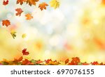 Falling autumn maple leaves natural background .Colorful foliage 
