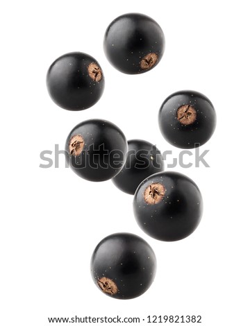 Falling Black currant isolated on white background, clipping path, full depth of field