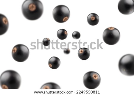 Falling Black currant isolated on white background, selective focus