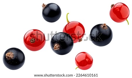 Falling black and red currant isolated on white background