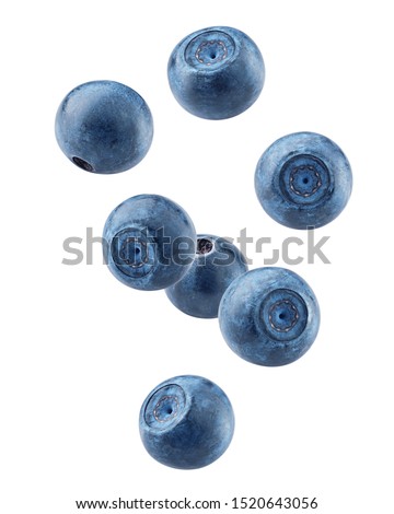 Falling blueberry, isolated on white background, clipping path, full depth of field