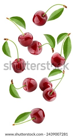 Falling cherry, clipping path, isolated on white background, full depth of field