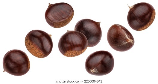 Falling chestnuts isolated on white background