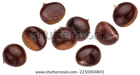 Falling chestnuts isolated on white background