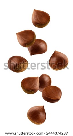 Falling Chestnuts, isolated on white background, clipping path, full depth of field