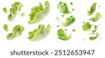 The falling Chinese cabbage is isolated on a white background, with a full depth of field