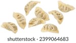 Falling Chinese Gyoza dumplings Isolated on white background