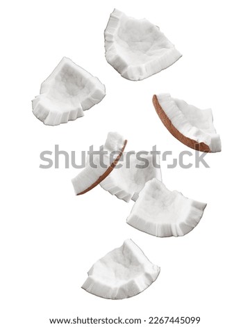 Falling coconut, isolated on white background, full depth of field, clipping path