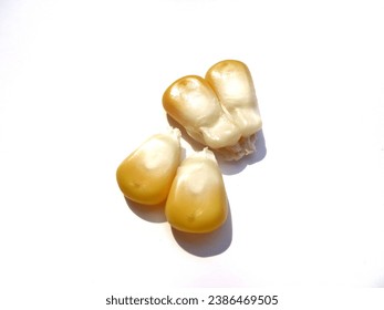 Falling corn kernels isolated on white background with clipping path, collection of raw yellow corn grains