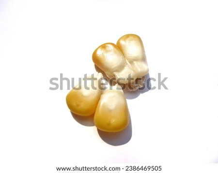 Falling corn kernels isolated on white background with clipping path, collection of raw yellow corn grains