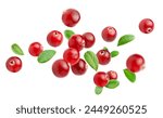 falling cranberry berries with leaves on a white isolated background