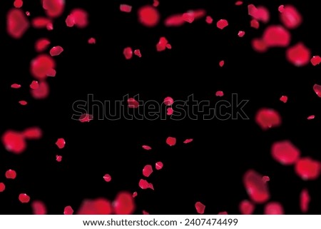Falling Down Rose Petals on dark black background photo for wedding, romance, love and Valentines day